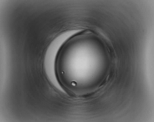 X0000114440415200910161359
