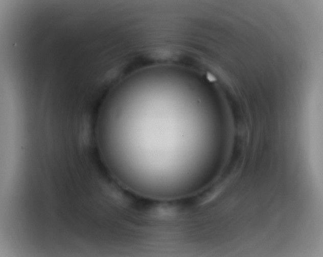 X0000114440416200910161359