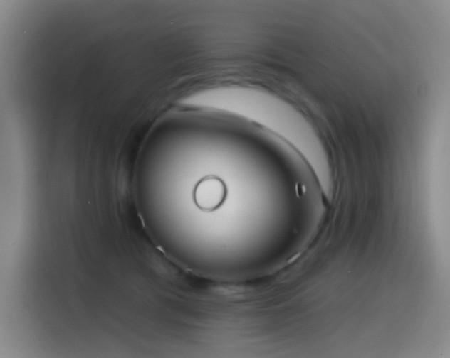 X0000114440417200910161359