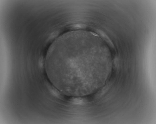 X0000114440423200910161359