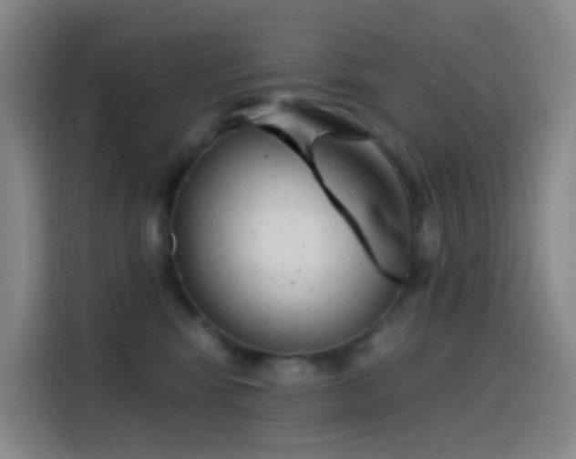 X0000114440424200910161359