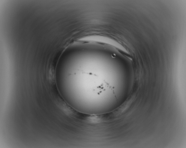 X0000114440425200910161359