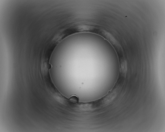 X0000114440426200910161359