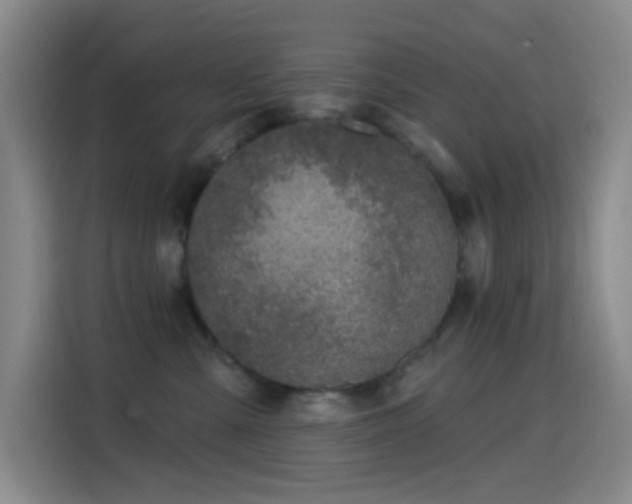 X0000114440427200910161359