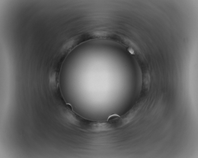 X0000114440428200910161359