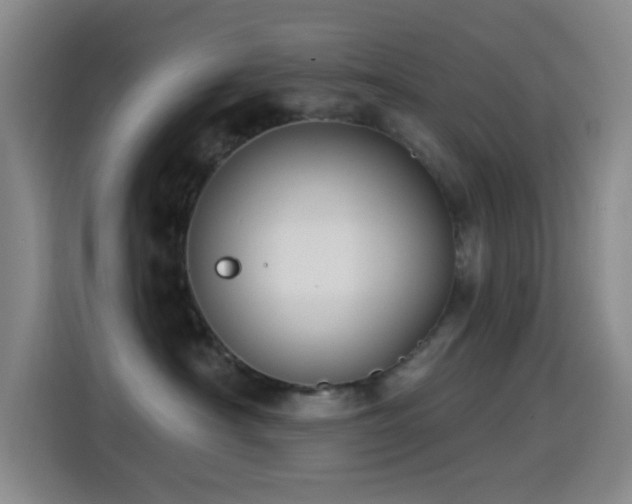 X0000114440430200910161359