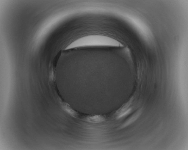 X0000114440431200910161359