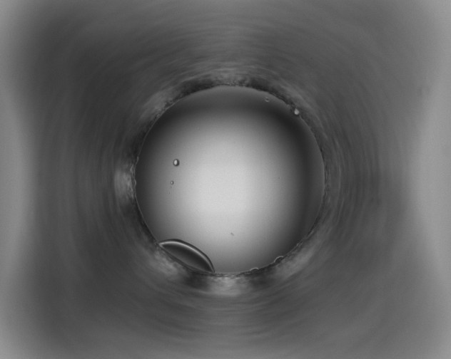 X0000114440432200910161359