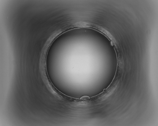 X0000114440433200910161358