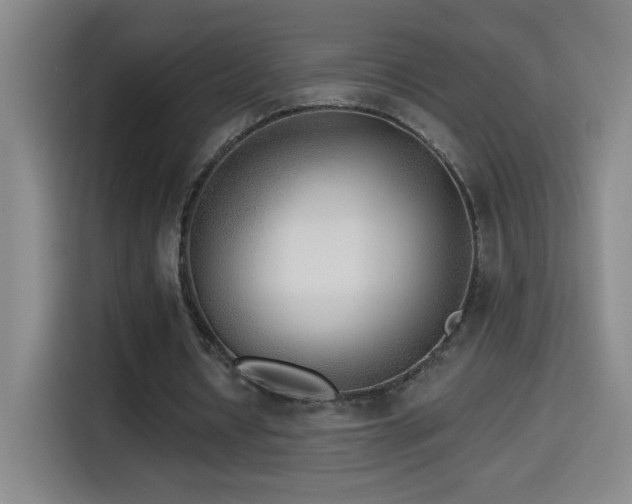 X0000114440434200910161358