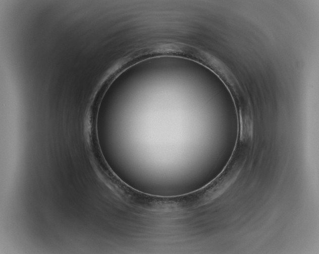 X0000114440435200910161358