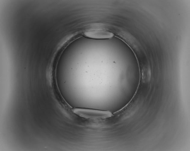 X0000114440436200910161358