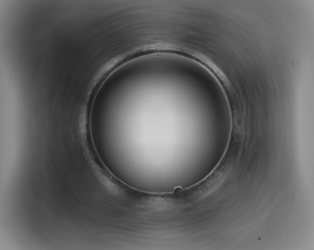 X0000114440437200910161358