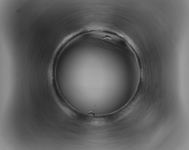 X0000114440438200910161358