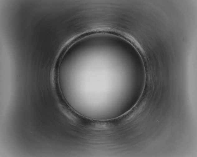 X0000114440439200910161358
