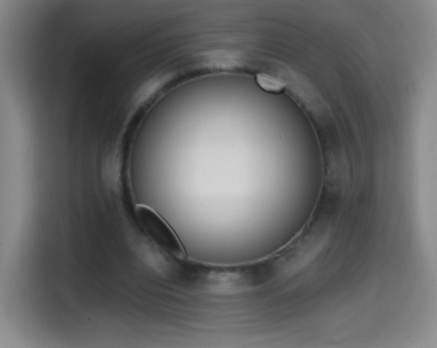 X0000114440440200910161358