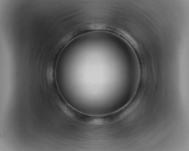 X0000114440441200910161358