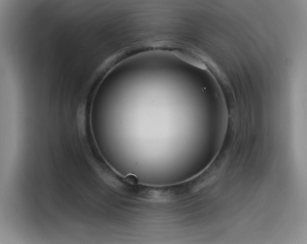 X0000114440442200910161358