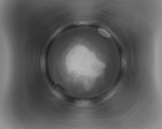 X0000114440444200910161358