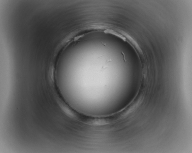X0000114440445200910161358