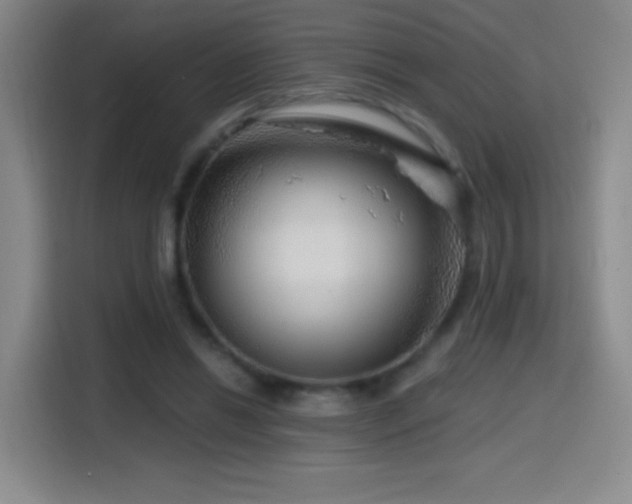 X0000114440446200910161358
