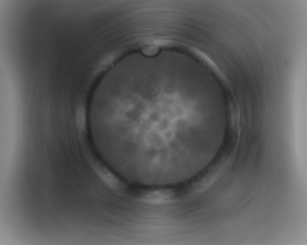 X0000114440447200910161358