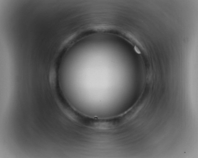 X0000114440448200910161358