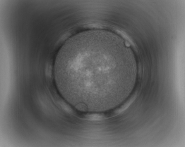 X0000114440449200910161358