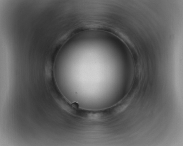 X0000114440450200910161358