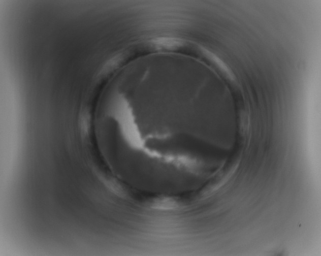 X0000114440451200910161358