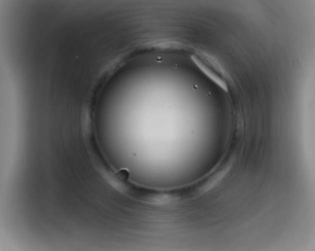 X0000114440453200910161358