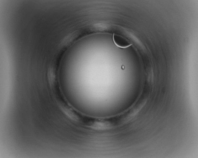 X0000114440455200910161358