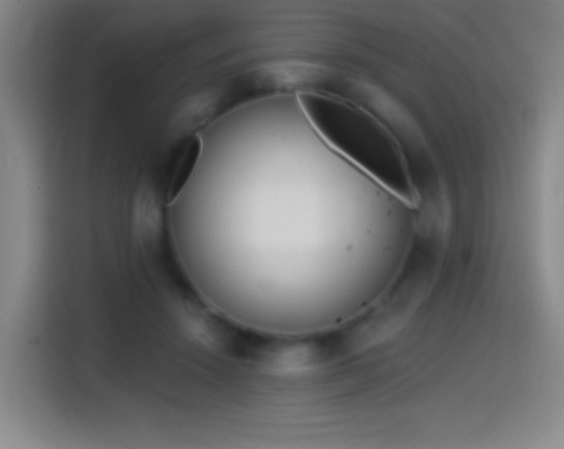 X0000114440456200910161358