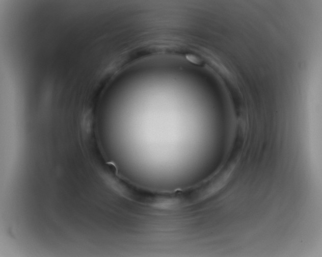X0000114440458200910161358