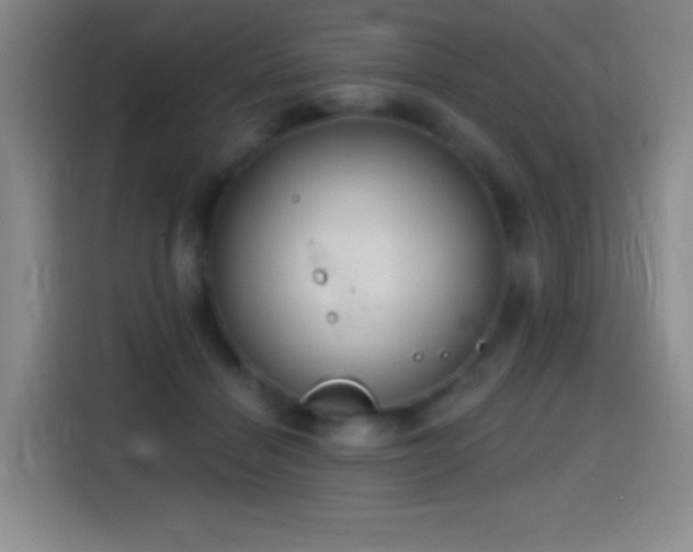 X0000114440460200910161358