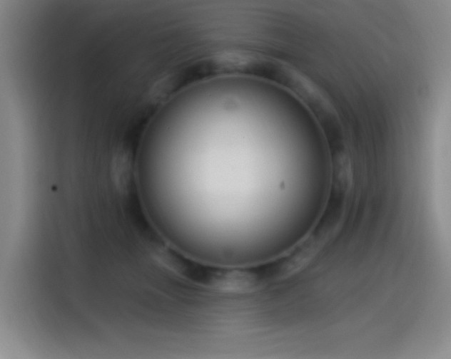 X0000114440463200910161358