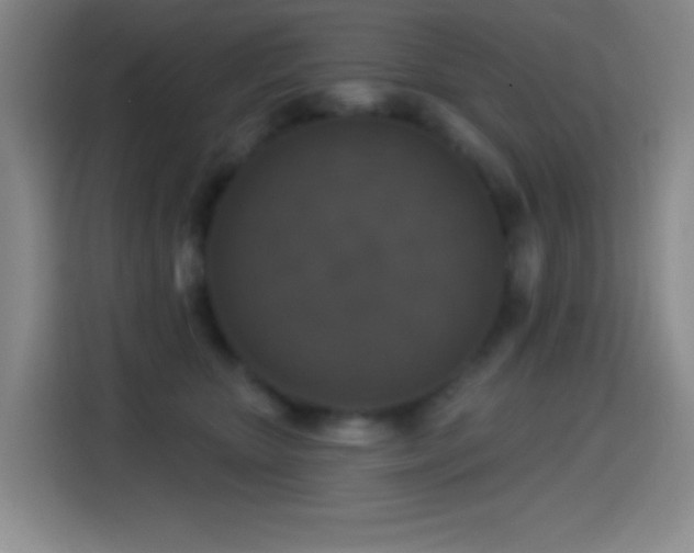 X0000114440467200910161359