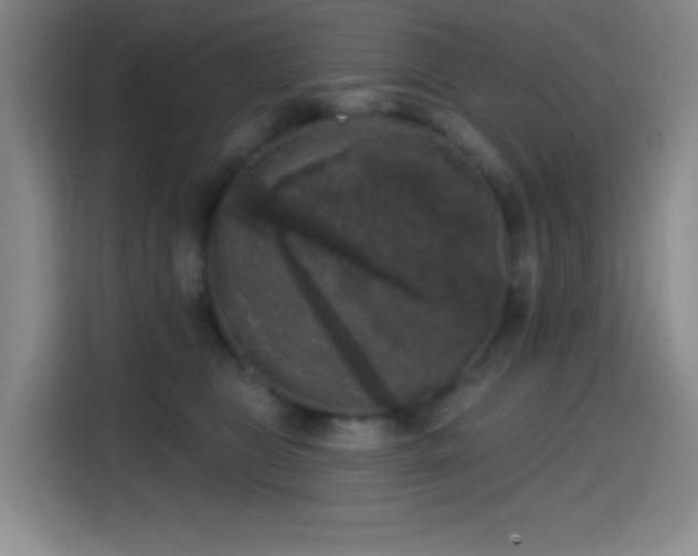 X0000114440469200910161359