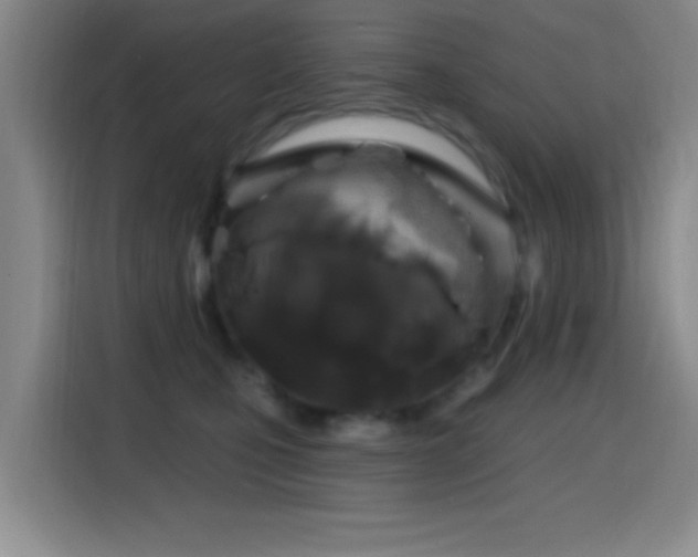 X0000114440471200910161359