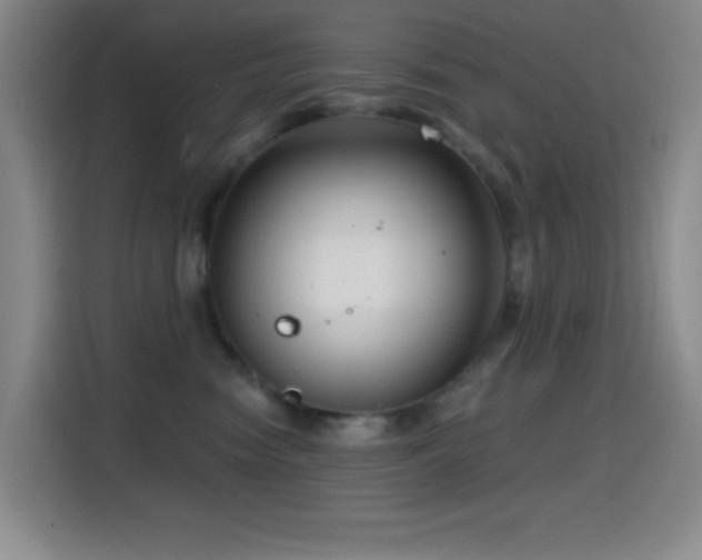 X0000114440474200910161359