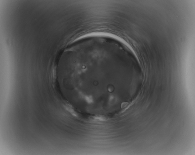 X0000114440475200910161359