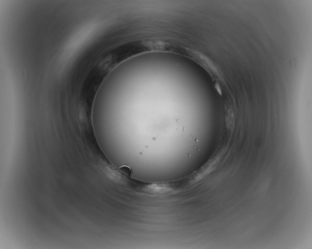 X0000114440477200910161359