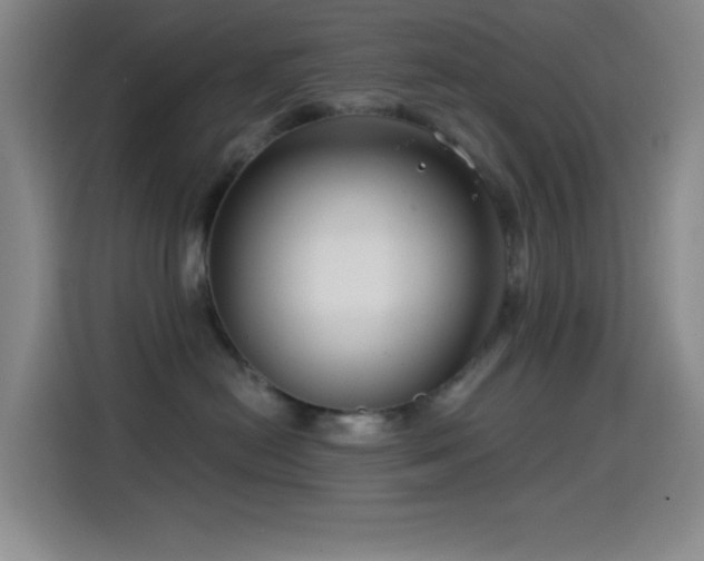 X0000114440478200910161359