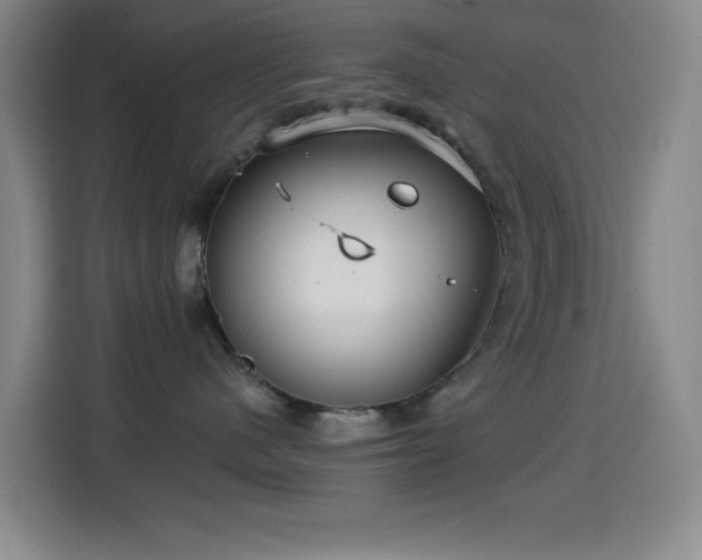 X0000114440480200910161359