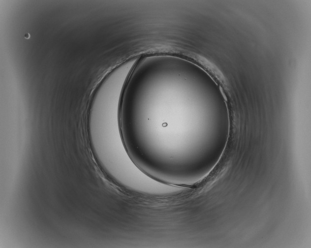 X0000114440481200910161358