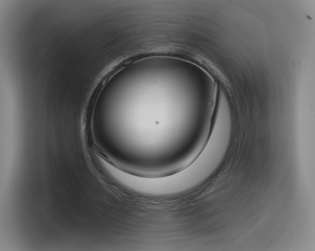 X0000114440483200910161358