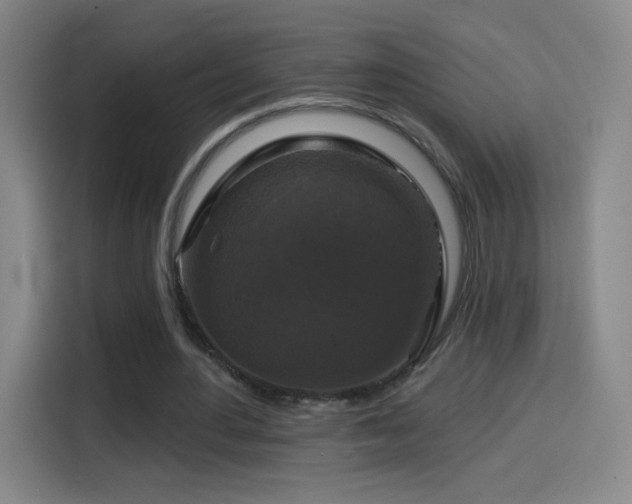 X0000114440484200910161358