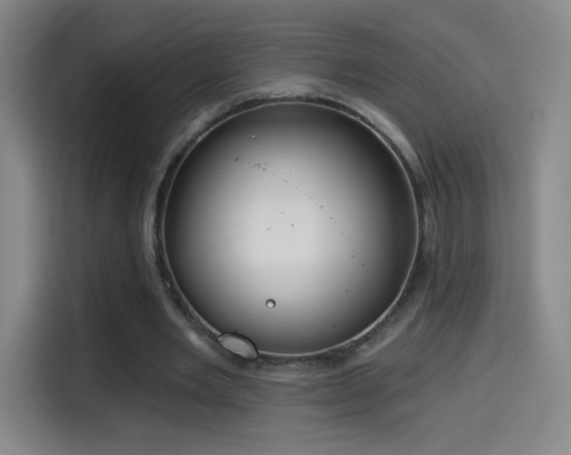 X0000114440485200910161358