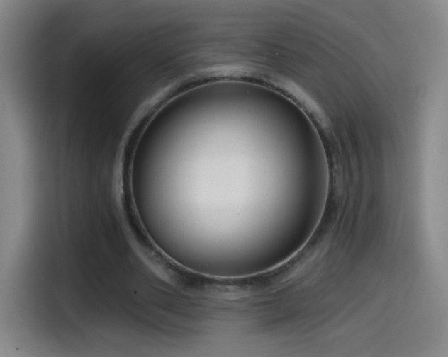 X0000114440486200910161358