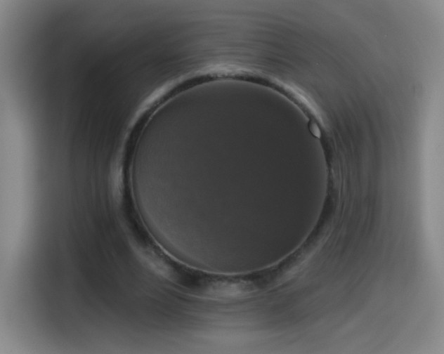 X0000114440488200910161358